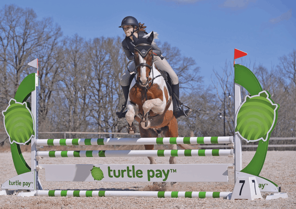 Prospekt för Turtle Pay AB