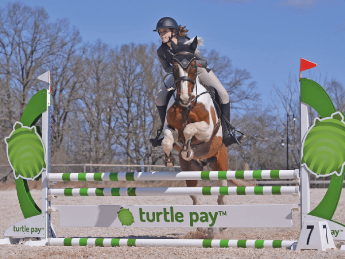 Nyhetsbrev Turtle Pay AB