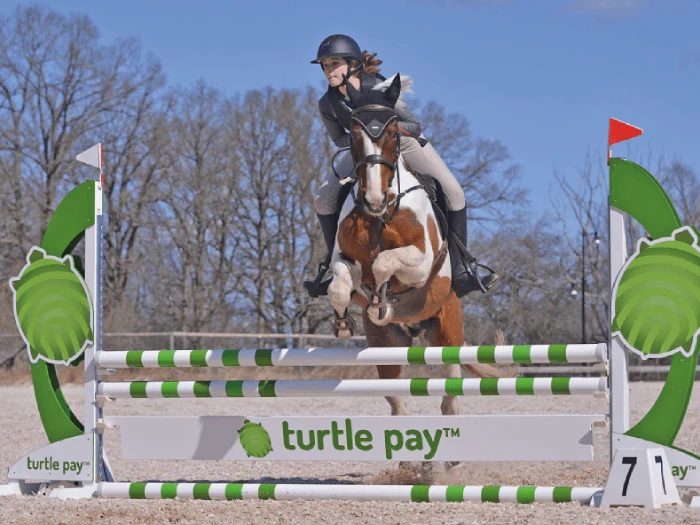 Ryttare och häst hoppar över ett hinder med Turtle Pay-logotyp vid en hopptävling.
